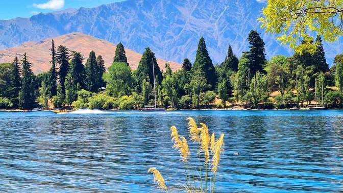 Saint Omer Park, Queenstown