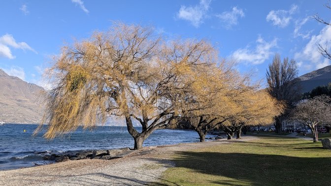 Saint Omer Park, Queenstown