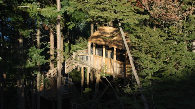 Ziptrek Ecotours
