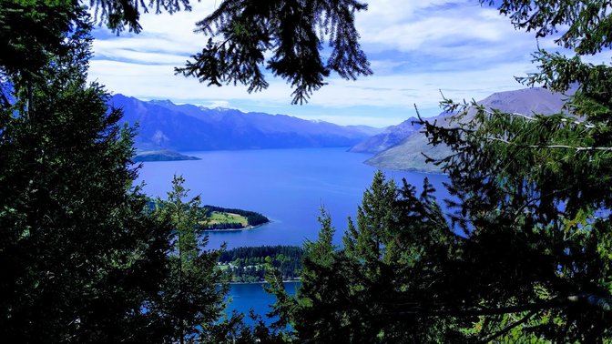 Ziptrek Ecotours