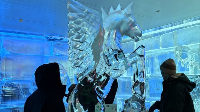 Minus 5° ICE BAR