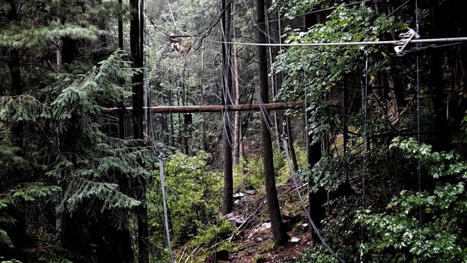 Ziptrek Ecotours