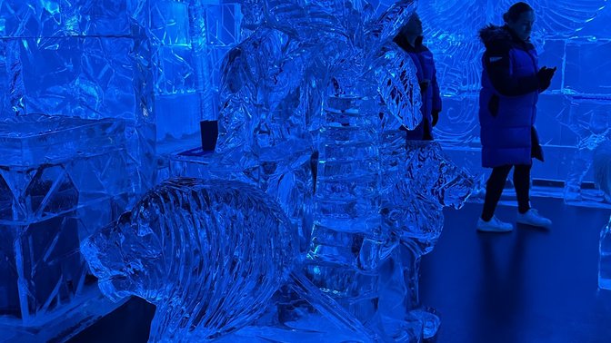 Queenstown Ice Bar