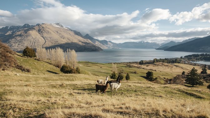 Deer Park Heights Queenstown