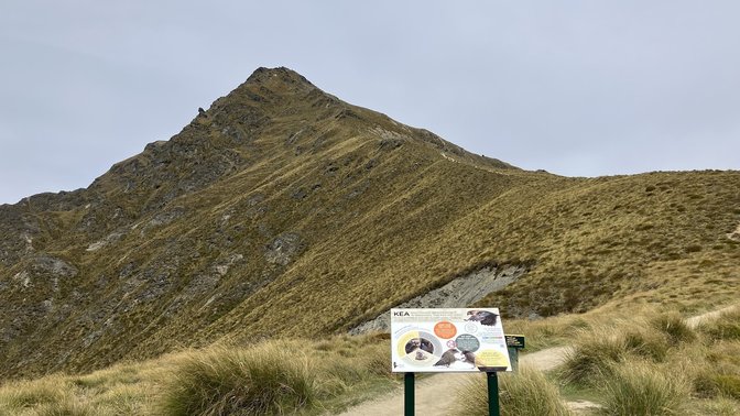 Ben Lomond Saddle